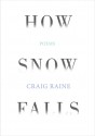 How Snow Falls - Craig Raine