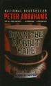 Down the Rabbit Hole - Peter Abrahams