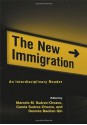 The New Immigration: An Interdisciplinary Reader - Marcelo M. Suárez-Orozco, Carola Suárez-Orozco, Desirée Baolian Qin-Hilliard