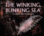 The Winking Blinking Sea:All About - Mary Batten