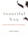 Beautiful Boy: A Father's Journey through His Son's Meth Addiction - David Sheff, Anthony Heald