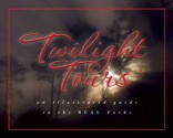 Twilight Tours: An Illustrated Guide to the Real Forks - George Beahm