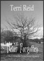 Never Forgotten (Mary O'Reilly, #3) - Terri Reid