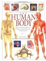 The Human Body (An Illustrated Guide to Its Structure, Function, and Disorders) - Charles B. Clayman