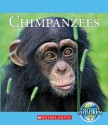 Chimpanzees - Katie Marsico