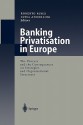 Banking Privatisation in Europe: The Process and the Consequences on Strategies and Organisational Structures - Roberto Ruozi, Luisa Anderloni