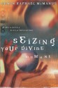 Seizing Your Divine Moment: Dare to Live a Life of Adventure - Erwin Raphael McManus