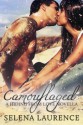 Camouflaged (Hiding From Love, #0.5) - Selena Laurence