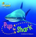 Pup To Shark - Camilla De la Bédoyère