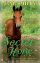 Secret Horse (Abby Lovitt, #2) - Jane Smiley