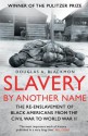 Slavery by Another Name: The Re-Enslavement of Black Americans from the Civil War to World War Two - Douglas A. Blackmon