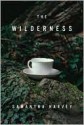 The Wilderness - Samantha Harvey