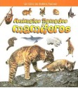 Animales Llamados Mamiferos (Que Tipo De Animal Es?) - Bobbie Kalman, Kristina Lundblad