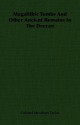 Megalithic Tombs and Other Ancient Remains in the Deccan - Philip Meadows Taylor