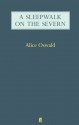 A Sleepwalk on the Severn - Alice Oswald