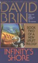 Infinity's Shore - David Brin