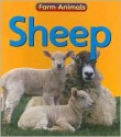 Sheep - Rachael Bell