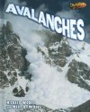 Avalanches - Michael Woods, Mary B. Woods