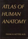 Atlas of Human Anatomy - Frank H. Netter