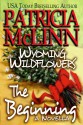 Wyoming Wildflowers: The Beginning (A Novella) - Patricia McLinn