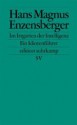 Im Irrgarten der Intelligenz: Ein Idiotenführer - Hans Magnus Enzensberger