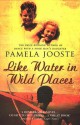 Like Water In Wild Places - Pamela Jooste