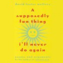 A Supposedly Fun Thing I'll Never Do Again: Essays and Arguments (Audio) - David Foster Wallace, Paul Michael Garcia