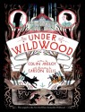 Under Wildwood - Colin Meloy, Carson Ellis