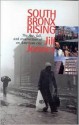 South Bronx Rising: Rise and Fall and Resurrection of an American City - Jill Jonnes