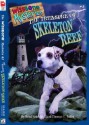 The Treasure of Skeleton Reef - Brad Strickland, Tom Fuller