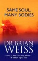 Same Soul, Many Bodies - Brian L. Weiss