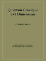 Quantum Gravity in 2+1 Dimensions - Steven Carlip, Peter Landshoff, D.R. Nelson