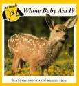 Whose Baby Am I? - Shirley Greenway, Oxford Scientific Films Staff