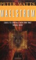 Maelstrom - Peter Watts