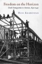 Freedom on the Horizon: Dutch Immigration to America, 1840-1940 - Hans Krabbendam, Harry Boonstra, Gerrit Sheeres