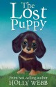 The Lost Puppy (Holly Webb Animal Stories) - Holly Webb