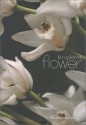 Flower - Lynn Goldsmith, Donald Sultan