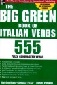 The Big Green Book of Italian Verbs - Katrien Maes-Christie, Daniel Franklin