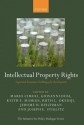 Intellectual Property Rights: Legal and Economic Challenges for Development - Mario Cimoli, Giovanni Dosi, Keith E Maskus, Ruth L Okediji, Jerome H Reichman, Joseph E. Stiglitz