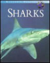 Sharks - Reader's Digest Association, Chris Lowe, John McCosker, Carl Meyer, Colin Simpfendorfer, Kim Holland, Brad Wetherbee, Aaron Bush