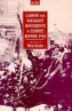 Labour and Socialist Movements in Europe before 1914 - Dick Geary