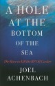 A Hole at the Bottom of the Sea: The Race to Kill the BP Oil Gusher - Joel Achenbach