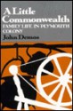 Little Commonwealth: A Family Life in Plymouth Colony - John Demos, Demos