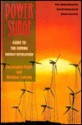 Power Surge: Guide to the Coming Energy Revolution - Christopher Flavin, Nicholas Lenssen