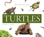 Turtles - Kathryn Stevens