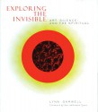 Exploring the Invisible: Art, Science and the Spiritual - Lynn Gamwell, Neil deGrasse Tyson