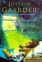 Through a Glass, Darkly - Jostein Gaarder