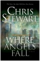 The Great and Terrible, Vol. 2: Where Angels Fall - Chris Stewart