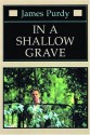 In a Shallow Grave - James Purdy