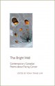 The Bright Well: Contemporary Canadian Poems about Facing Cancer - Fiona Tinwei Lam